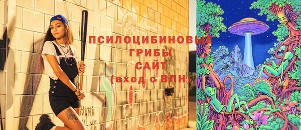 хмурый Медногорск