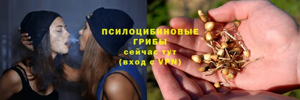 хмурый Медногорск