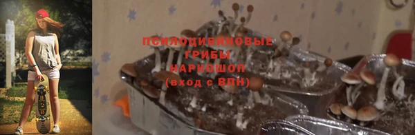 хмурый Медногорск