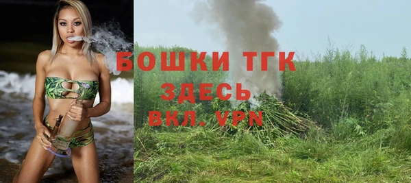 СК Мегион