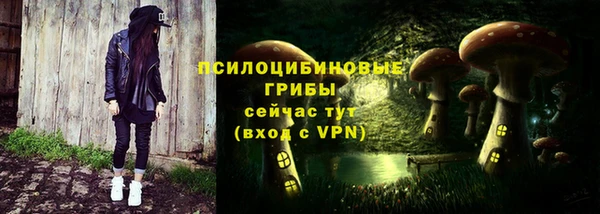 СК Мегион