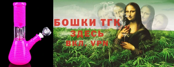 хмурый Медногорск